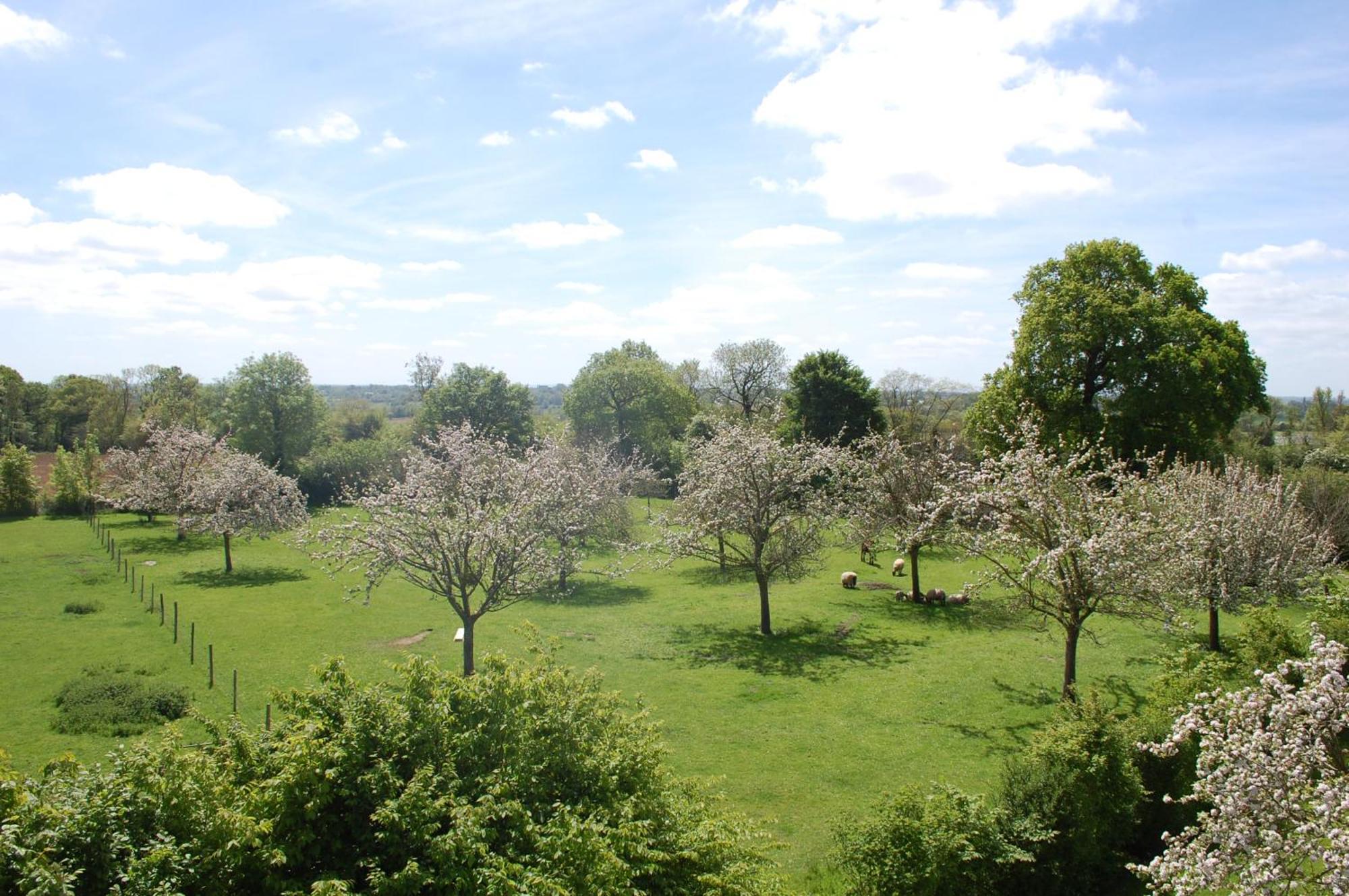Le Clos des Pommiers Tracy-sur-Mer Exterior foto